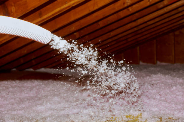 Best Insulation Maintenance and Repair in Ciborne, LA