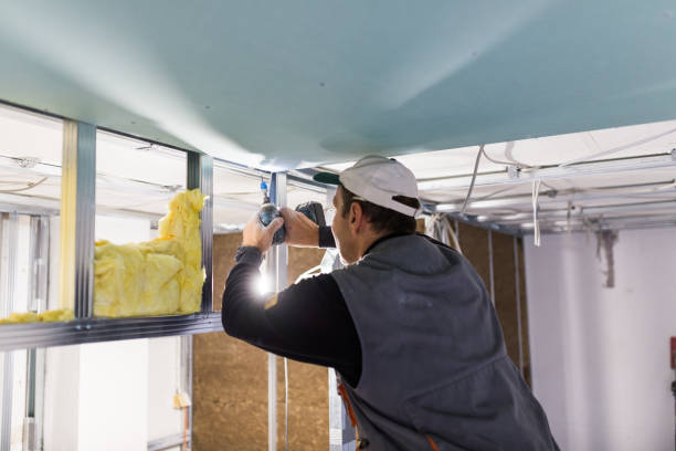 Best Specialty Insulation in Ciborne, LA